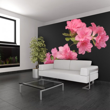 Fototapeet - Azalea in Black - 250x193