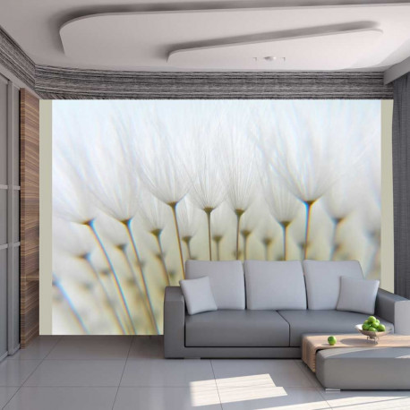Fototapeet - Dandelion forest - 200x154