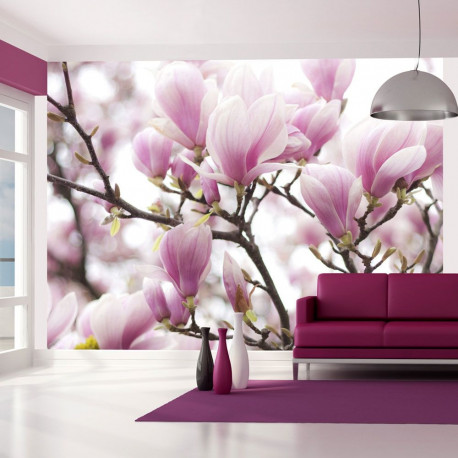 Fototapeet - Magnolia bloosom - 400x309