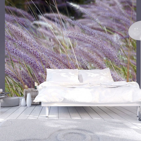Fototapeet - Green field and purple flowers - 300x231