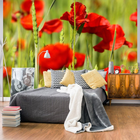Fototapeet - Cereal field with poppies - 350x270