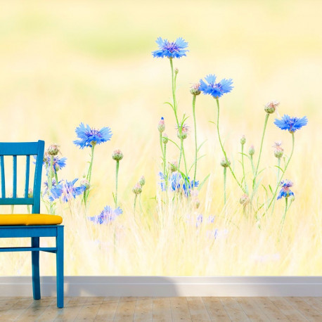 Fototapeet - Cornflowers - 400x309