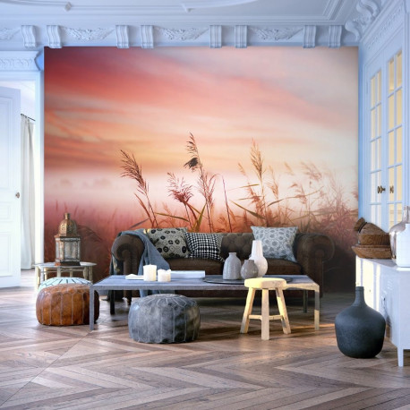 Fototapeet - Morning meadow - 300x231