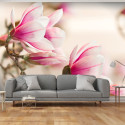 Fototapeet - Branch of magnolia tree - 300x231