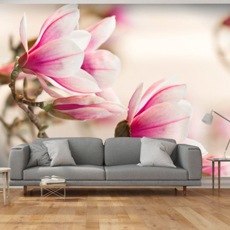 Fototapeet - Branch of magnolia tree - 200x154