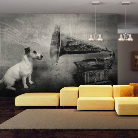 Fototapeet - Dog's melodies - 250x193