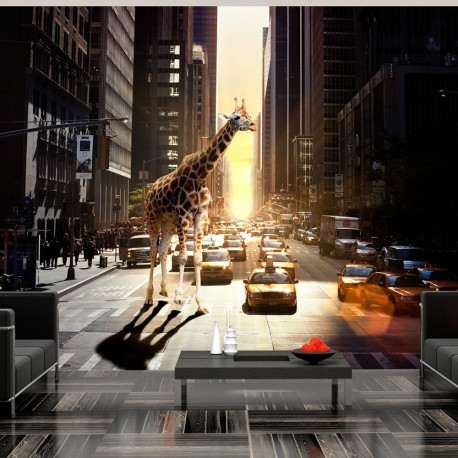 Fototapeet - Giraffe in the big city - 400x309