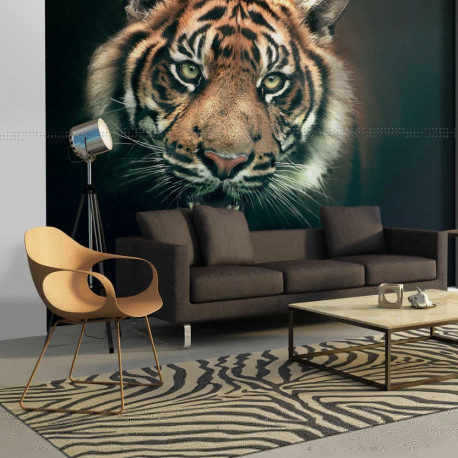Fototapeet - Bengal Tiger - 200x154