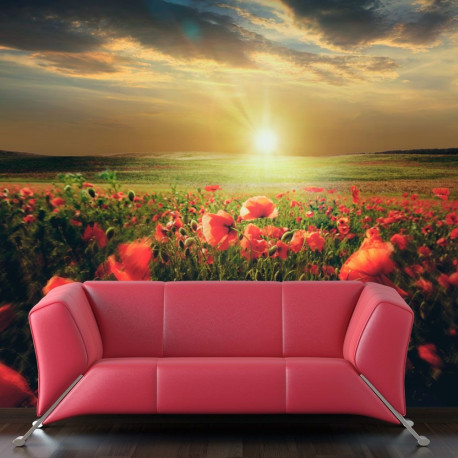 Fototapeet - Morning on the poppy meadow - 250x193