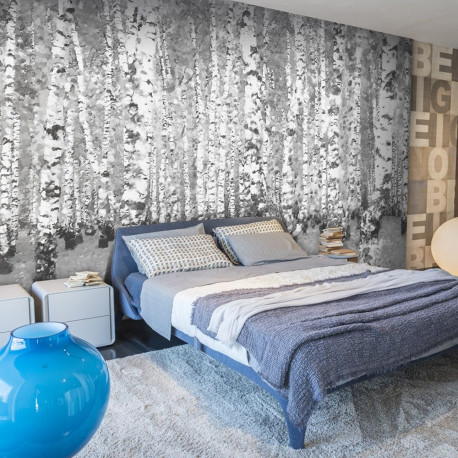 Fototapeet - Birch seclusion - 400x309