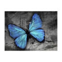 Fototapeet - Alated - 200x154