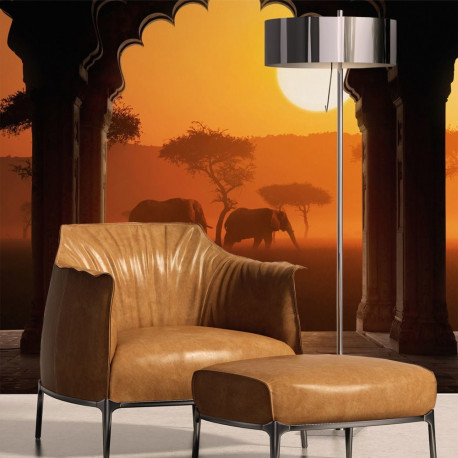 Fototapeet - Hear Africa - 350x270