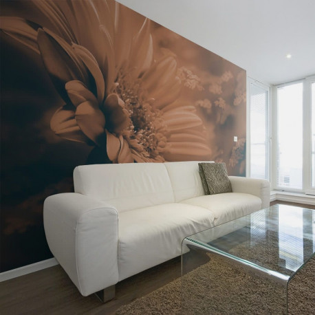 Fototapeet - Gerbera in bronze - 350x270