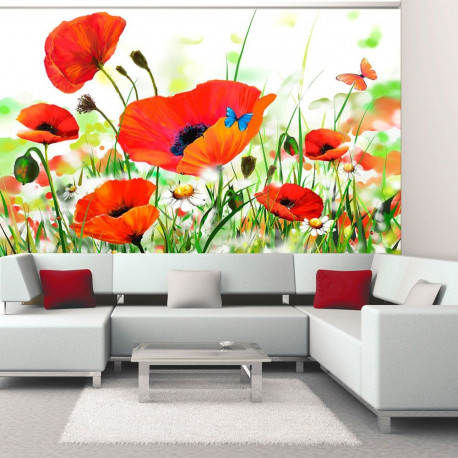 Fototapeet - Country poppies - 300x231