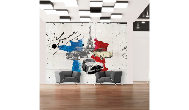 Fototapeet - Admirer of cars (France) - 250x193