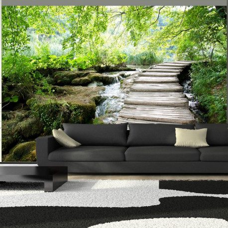 Fototapeet - Forest path - 100x70
