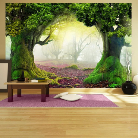 Fototapeet - Enchanted forest - 300x210
