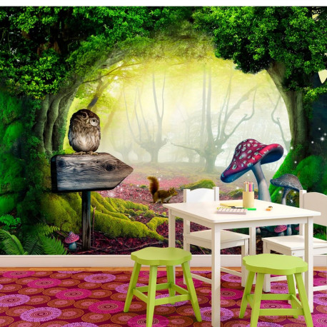 Fototapeet - Owlish corner - 150x105