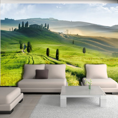 Fototapeet - Morning in the countryside - 300x210