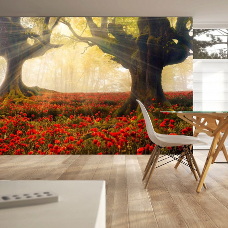 Fototapeet - Morning among poppies - 350x245