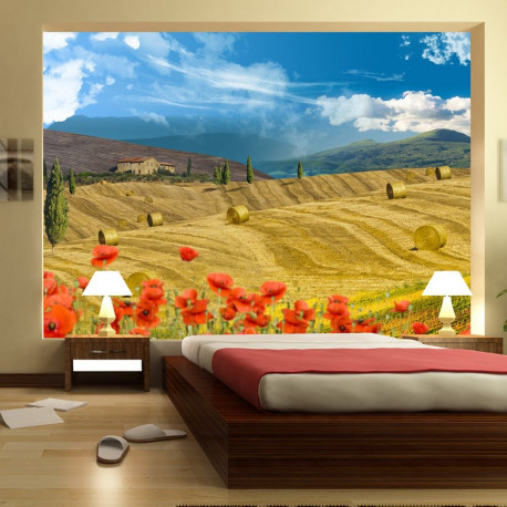 Fototapeet - Autumn landscape - 100x70