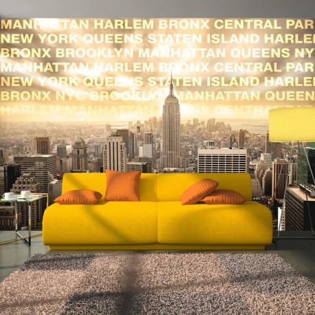 Fototapeet - Neighborhoods of New York - 250x175