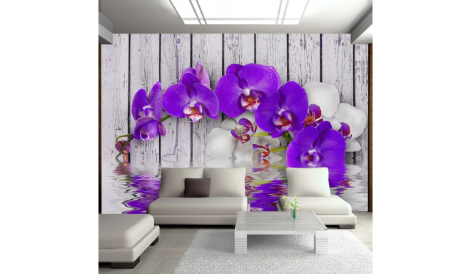 Fototapeet - Dormant instincts - 250x175