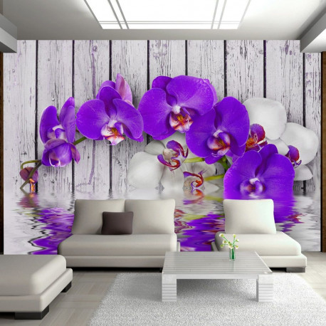 Fototapeet - Dormant instincts - 400x280