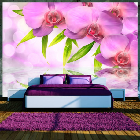 Fototapeet - Orchids in lilac colour - 400x280