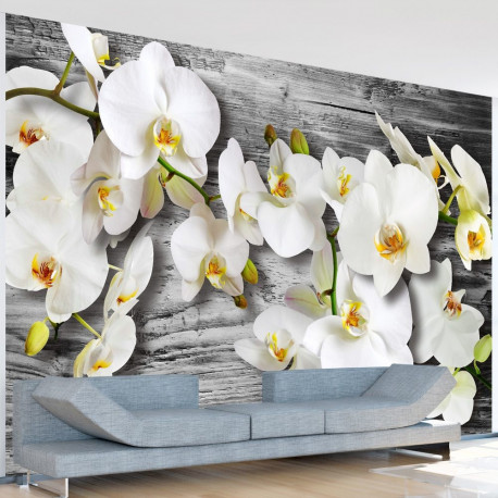 Fototapeet - Callous orchids III - 150x105