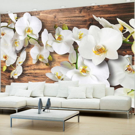 Fototapeet - Forest Orchid - 250x175