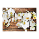 Fototapeet - Forest Orchid - 250x175 Fototapeet - Forest Orchid - 250x175