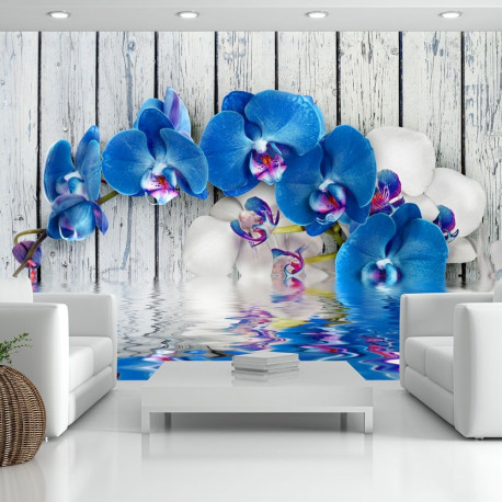 Fototapeet - Cobaltic orchid - 150x105