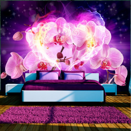 Fototapeet - Orchids in flames - 250x175