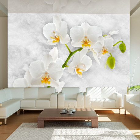 Fototapeet - Lyrical orchid - White - 150x105