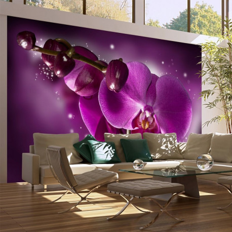 Fototapeet - Fairy tale and orchid - 450x270