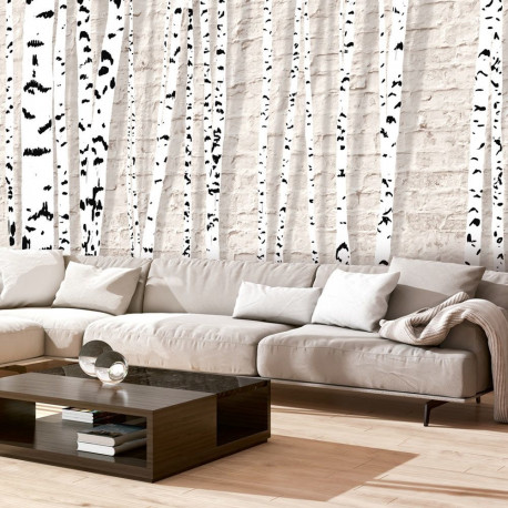 Fototapeet - Birchen Grove - 300x210