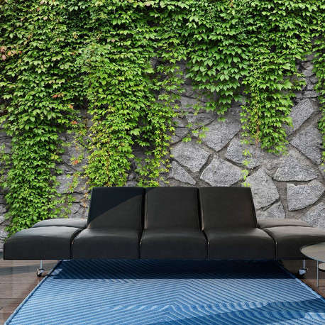 Fototapeet - Green wall - 400x280