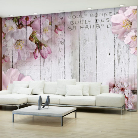 Fototapeet - Apple Blossoms - 300x210