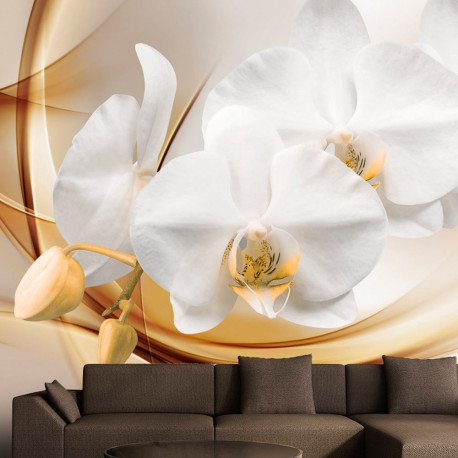 Fototapeet - Orchid blossom - 250x175