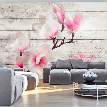 Fototapeet - Gentleness of the Magnolia - 200x140