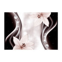 Fototapeet - Border of Abstraction - 300x210 Fototapeet - Border of Abstraction - 300x210