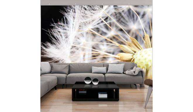 Fototapeet - Fluffy dandelion - 400x280