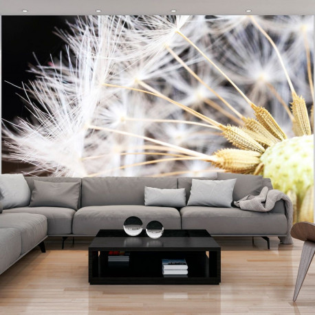 Fototapeet - Fluffy dandelion - 300x210