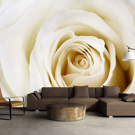 Fototapeet - Pearl maze - 350x245