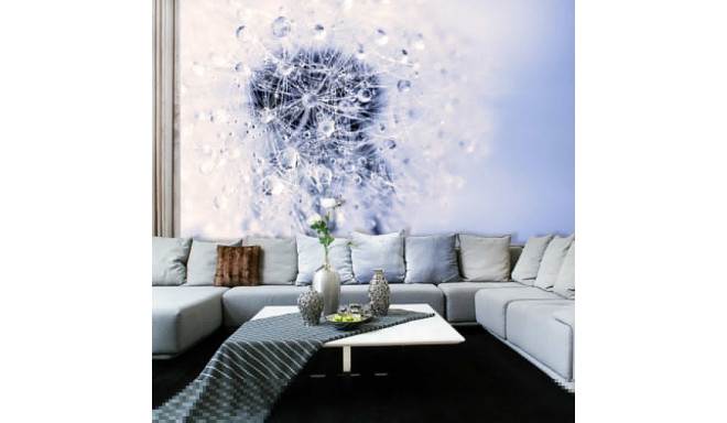 Fototapeet - Etheric Morning - 200x140