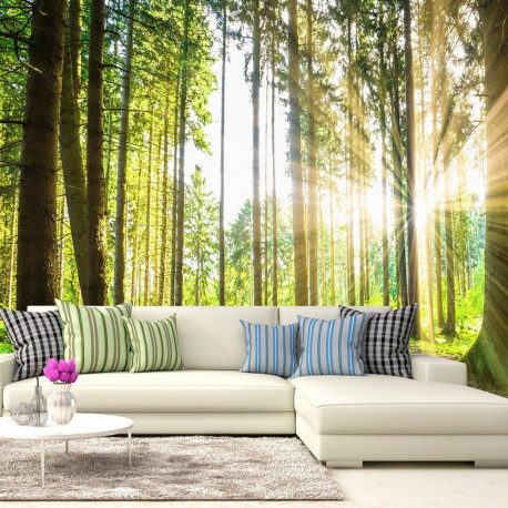 Fototapeet - Forest Tales - 400x280