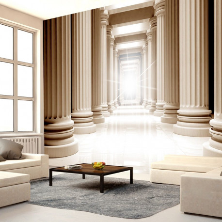 Fototapeet - In the ancient pantheon - 350x245