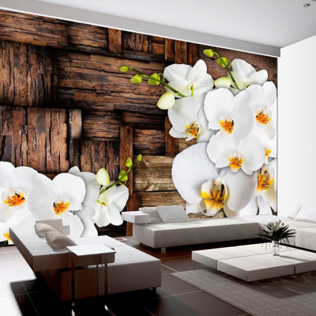 Fototapeet - Blooming orchids - 350x245