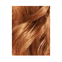 Garnier Color Naturals Créme (40ml) (7,34 Natural Copper)